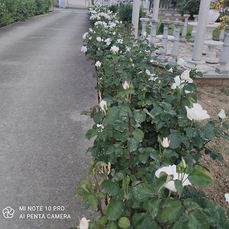 La Casa Delle Rose 2 Βίλα Giba Εξωτερικό φωτογραφία