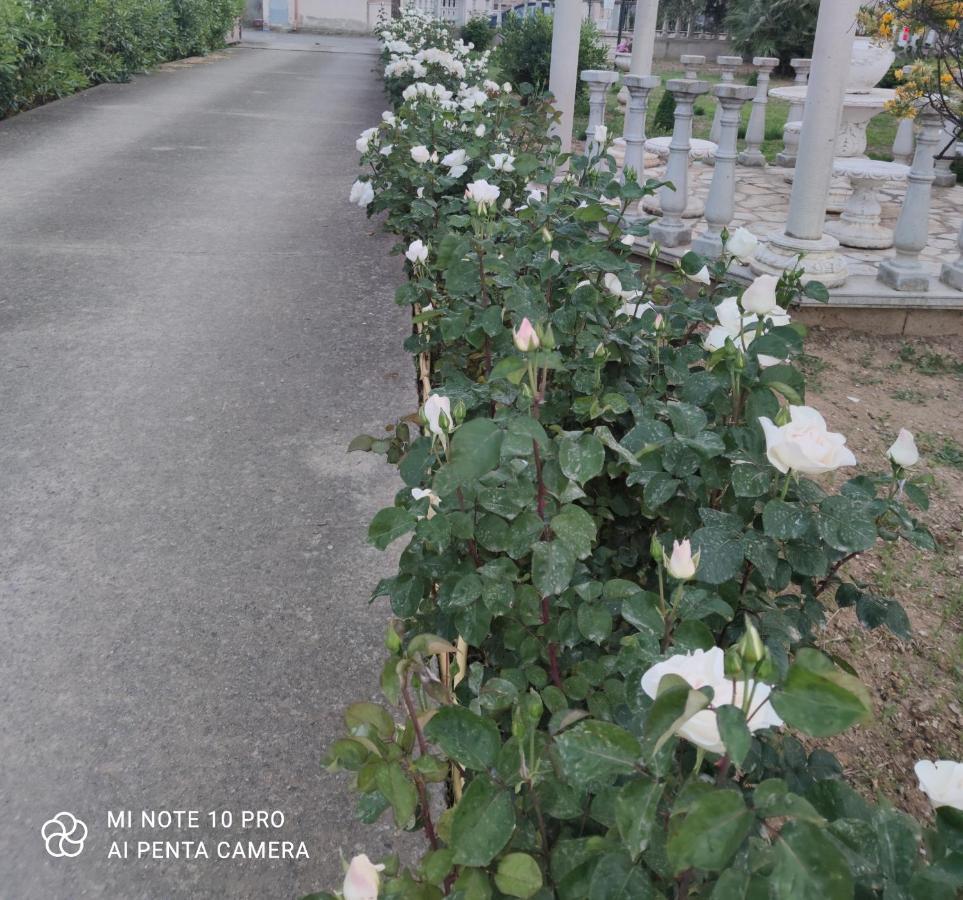 La Casa Delle Rose 2 Βίλα Giba Εξωτερικό φωτογραφία